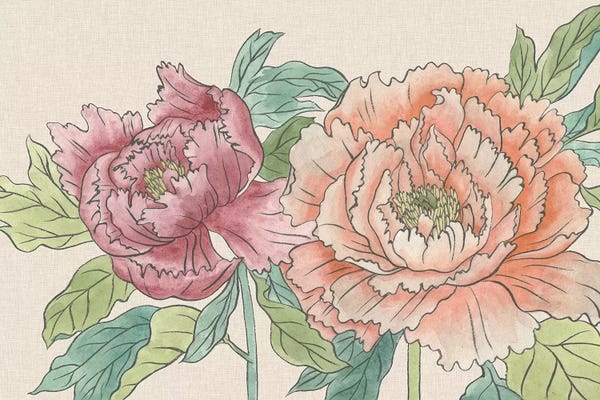 Peonies: Peony Blooms IV by Melissa Wang