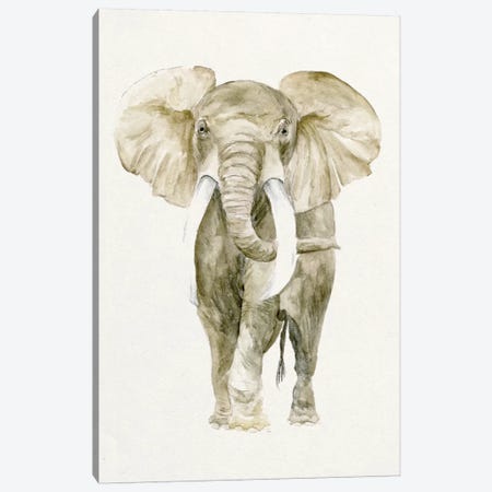 Baby Elephant I Canvas Print #WNG51} by Melissa Wang Canvas Art
