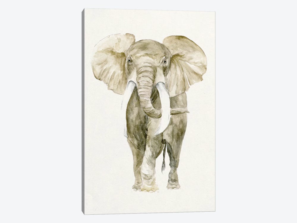 Baby Elephant I 1-piece Canvas Artwork