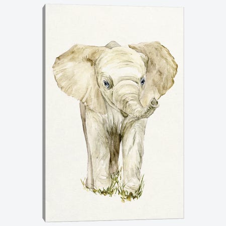 Baby Elephant II Canvas Print #WNG52} by Melissa Wang Canvas Artwork