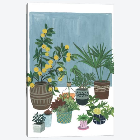 A Portrait Of Plants II Canvas Print #WNG537} by Melissa Wang Canvas Art Print