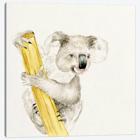 Baby Koala II Canvas Print #WNG54} by Melissa Wang Canvas Art Print