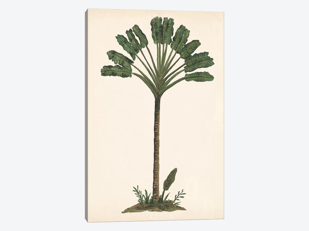 Palm Tree Study I by Melissa Wang 1-piece Canvas Print