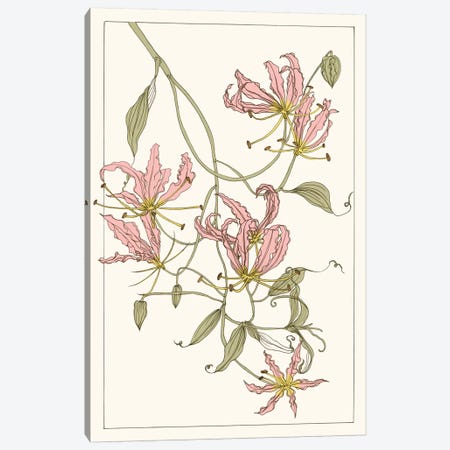 Botanical Gloriosa Lily II Canvas Print #WNG58} by Melissa Wang Canvas Art