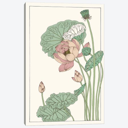 Botanical Gloriosa Lotus II Canvas Print #WNG60} by Melissa Wang Canvas Art Print