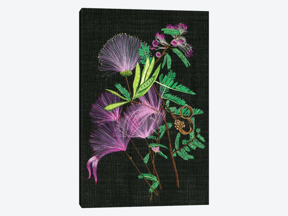 Calliandra Surinamensis II by Melissa Wang 1-piece Canvas Art