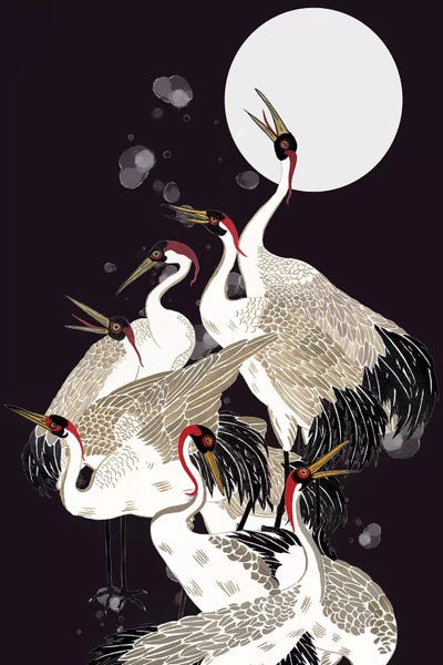 Black & White & Gold: Winter Etude II by Melissa Wang