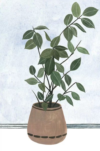 Minimalist Bohemian Decor: Mes Plants I by Melissa Wang