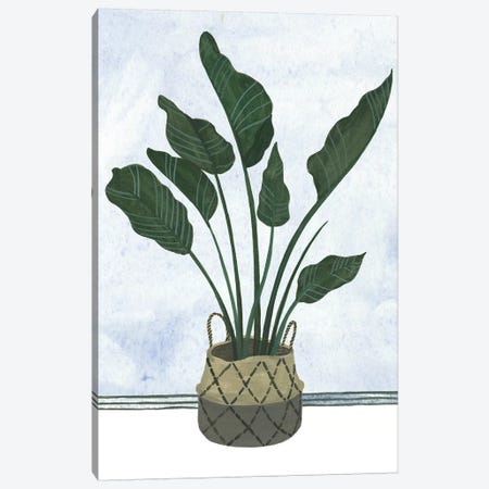 Mes Plants III Canvas Print #WNG679} by Melissa Wang Canvas Print
