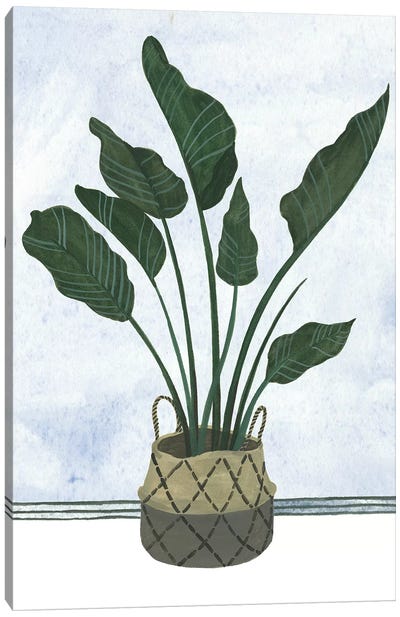 Mes Plants III Canvas Art Print - Bohemian Flair 