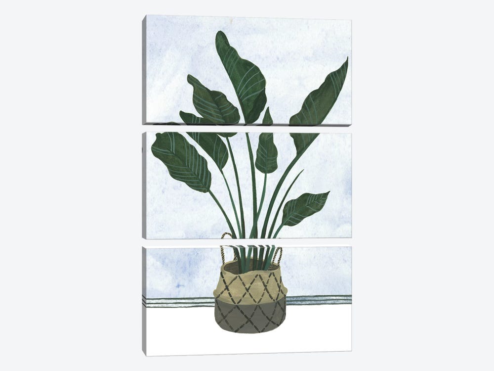 Mes Plants III by Melissa Wang 3-piece Canvas Print