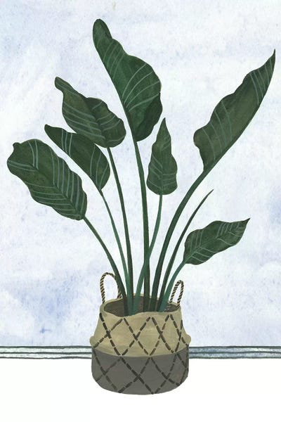 Minimalist Bohemian Decor: Mes Plants III by Melissa Wang