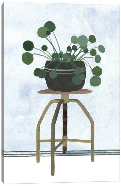 Mes Plants IV Canvas Art Print - Melissa Wang