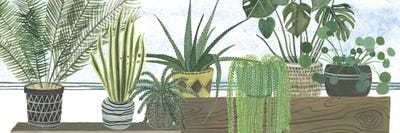 Mes Plantes Collection by Melissa Wang canvas print