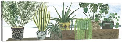Mes Plantes Collection Canvas Art Print - Melissa Wang