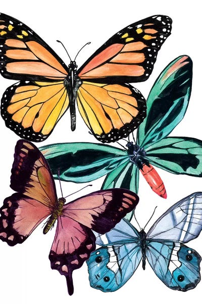 Butterfly Swatches I by Melissa Wang framed wall art