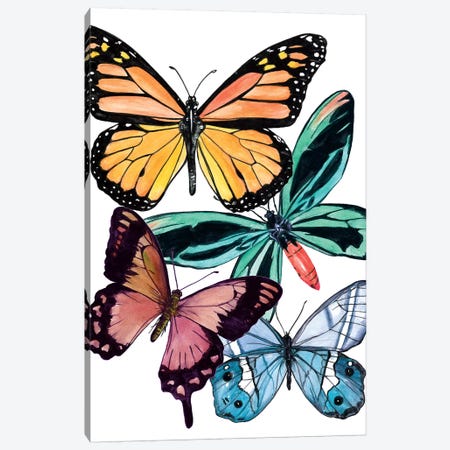 Butterfly Swatches I Canvas Print #WNG690} by Melissa Wang Art Print