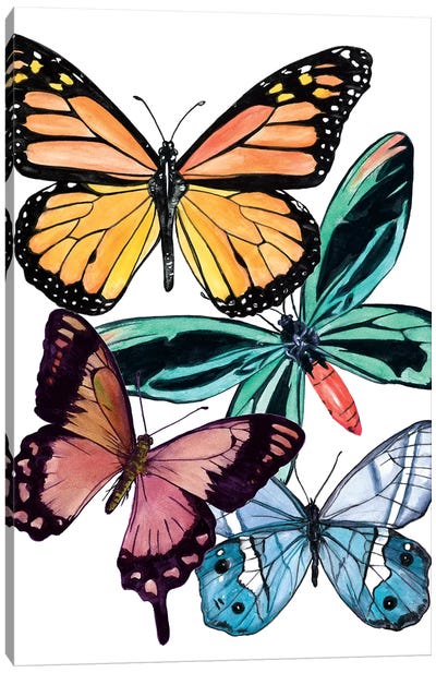 Butterfly Swatches I Canvas Art Print - Monarch Butterflies