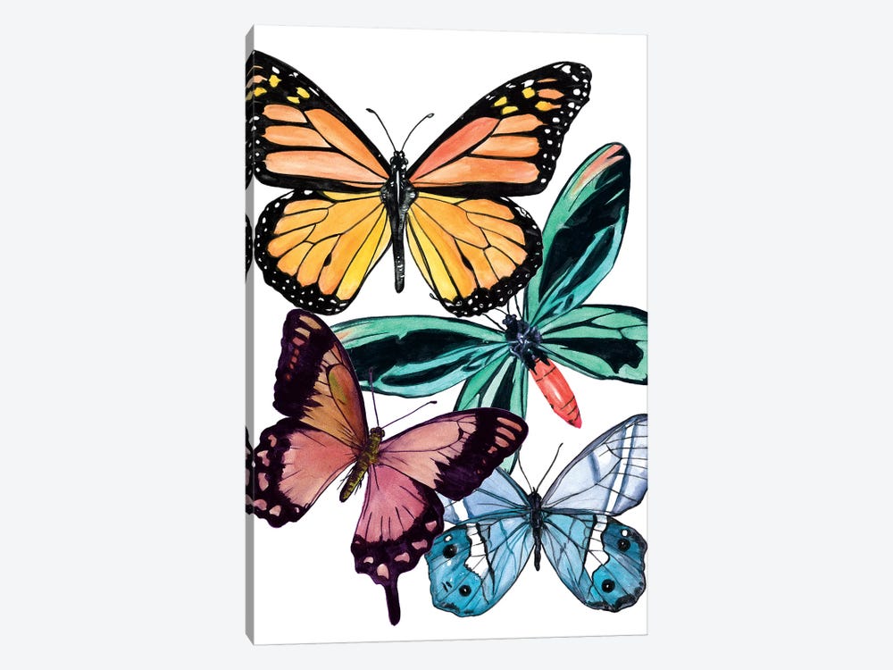 Butterfly Swatches I by Melissa Wang 1-piece Canvas Artwork