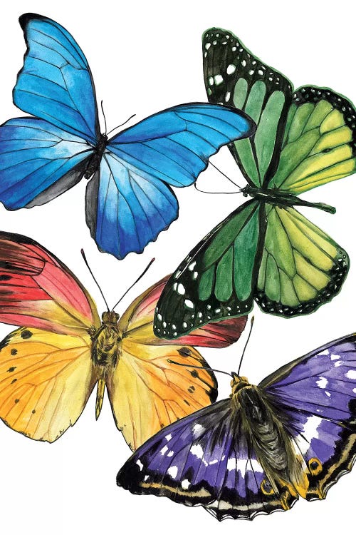 Butterfly Swatches II by Melissa Wang wall art