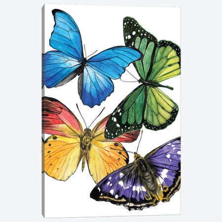 Butterfly Swatches II Canvas Print #WNG691} by Melissa Wang Art Print