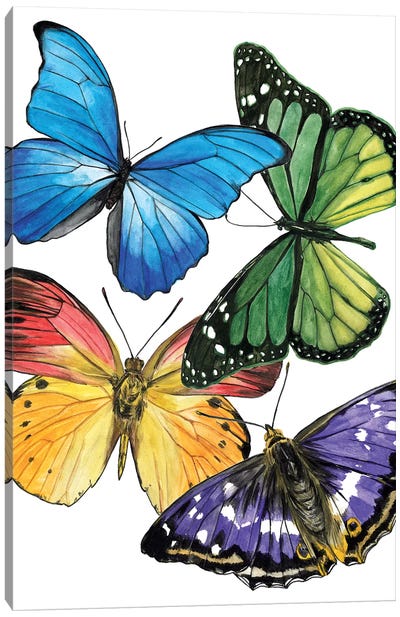 Butterfly Swatches II Canvas Art Print - Melissa Wang