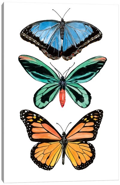 Falling From II Canvas Art Print - Monarch Butterflies