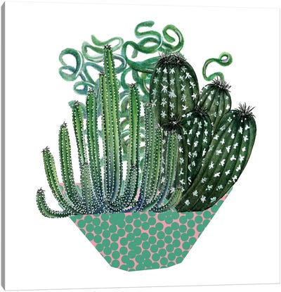 Cactus Arrangement II Canvas Art Print - Plant Art