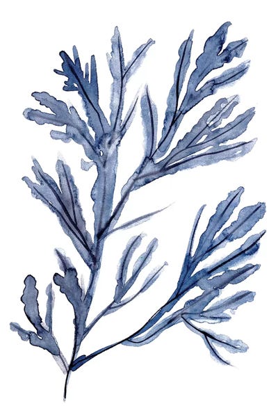 Seaweed Under Water I by Melissa Wang framed wall art