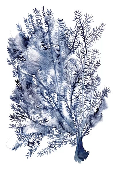 Seaweed Under Water II by Melissa Wang framed wall art