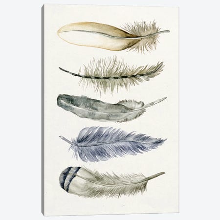Tribal Feather II Canvas Print #WNG97} by Melissa Wang Canvas Print