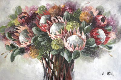 Protea