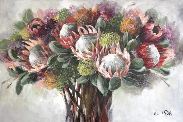 Protea