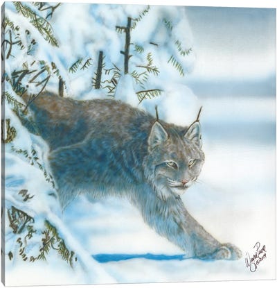 Caught In The Open I Canvas Art Print - Lynx Art