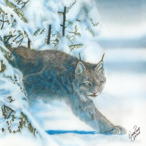 Lynx: Caught In The Open I by Wayne Pruse