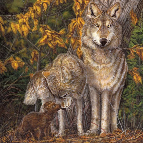 Wolves: Family Affair by Wayne Pruse