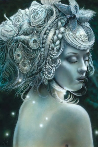 Forest Nymph by Wayne Pruse framed canvas print