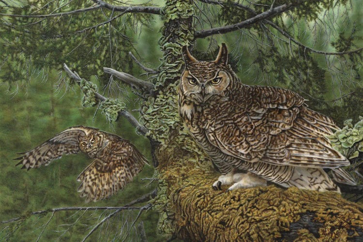 Great Horned Owls by Wayne Pruse wall art