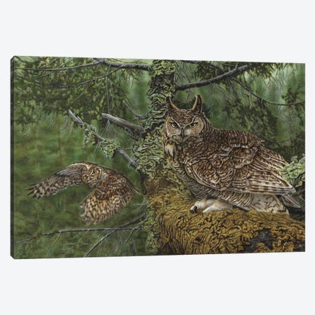 Great Horned Owls Canvas Print #WNP16} by Wayne Pruse Canvas Art