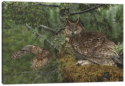 Great Horned Owls Canvas Art Print - Wayne Pruse