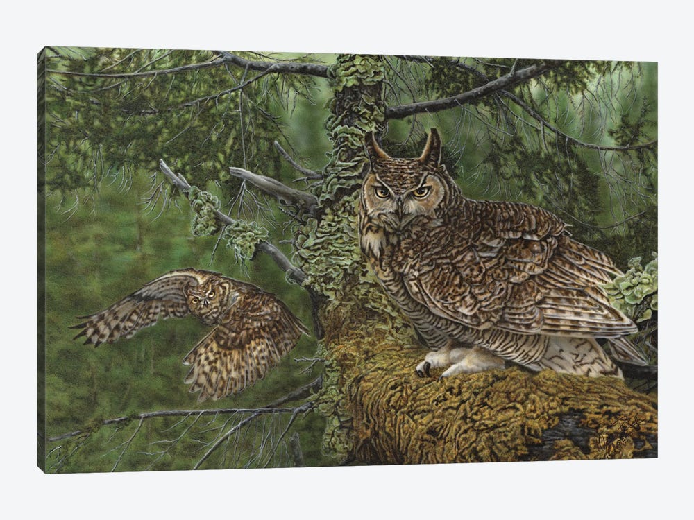 Great Horned Owls by Wayne Pruse 1-piece Art Print