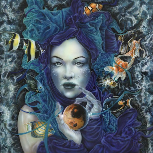 Betta: In Search Of Balance by Wayne Pruse