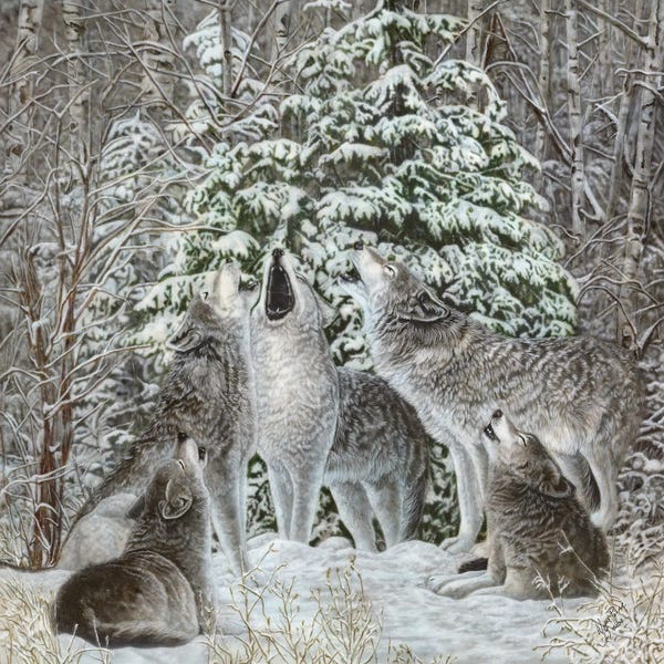 Rustic Winter: Northland Quintet by Wayne Pruse