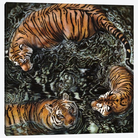 Tiger Sharks Canvas Print #WNP31} by Wayne Pruse Canvas Art Print