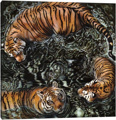 Tiger Sharks Canvas Art Print - Wayne Pruse