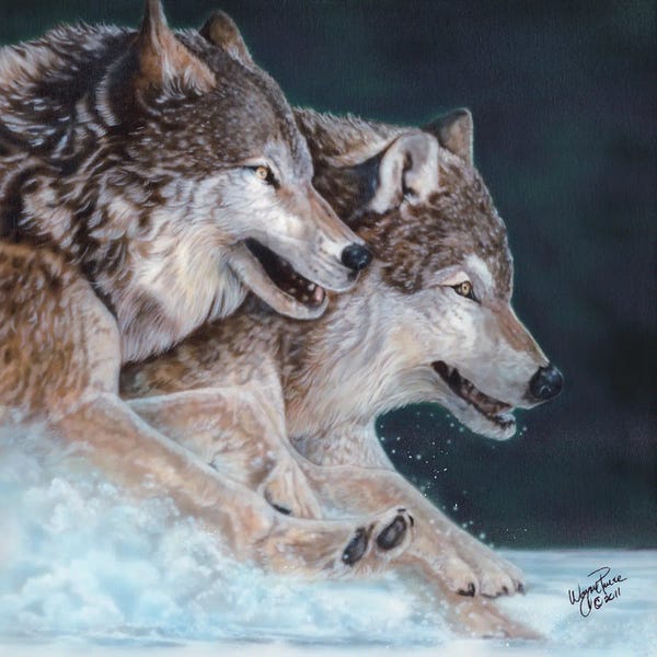 Wolves: The Zooms by Wayne Pruse