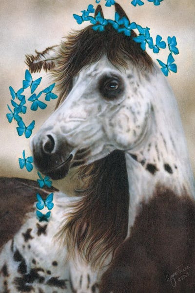 Transformation by Wayne Pruse framed canvas print