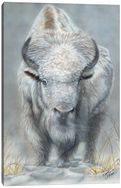 White Buffalo Canvas Art Print - Best Selling Paper