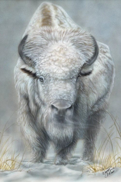 White Buffalo