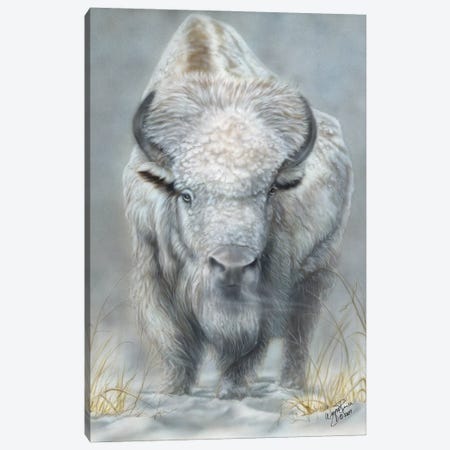 White Buffalo Canvas Print #WNP36} by Wayne Pruse Canvas Art